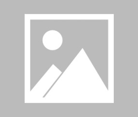 开云官方网站-当库里式魔法降临绿茵场，德布劳内50分钟与塞尔维亚的三分雨对决，库里式魔法降临绿茵场！德布劳内50分钟三分雨对决塞尔维亚